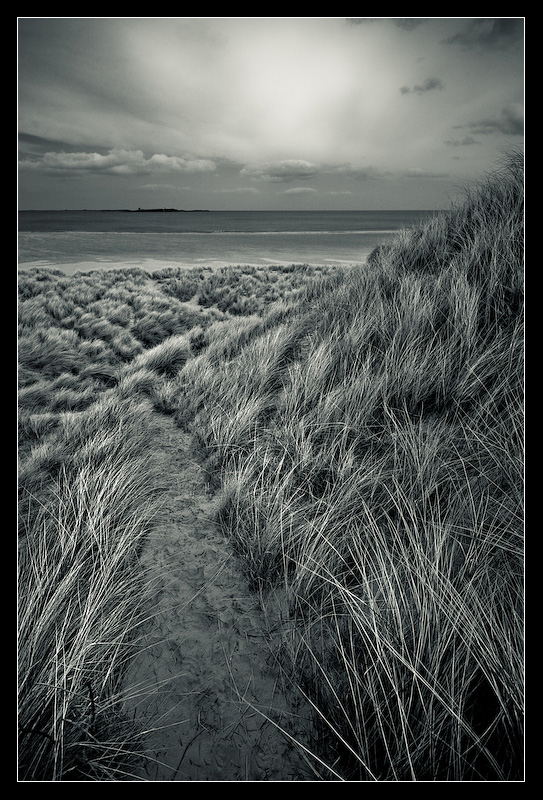 The path to the beach