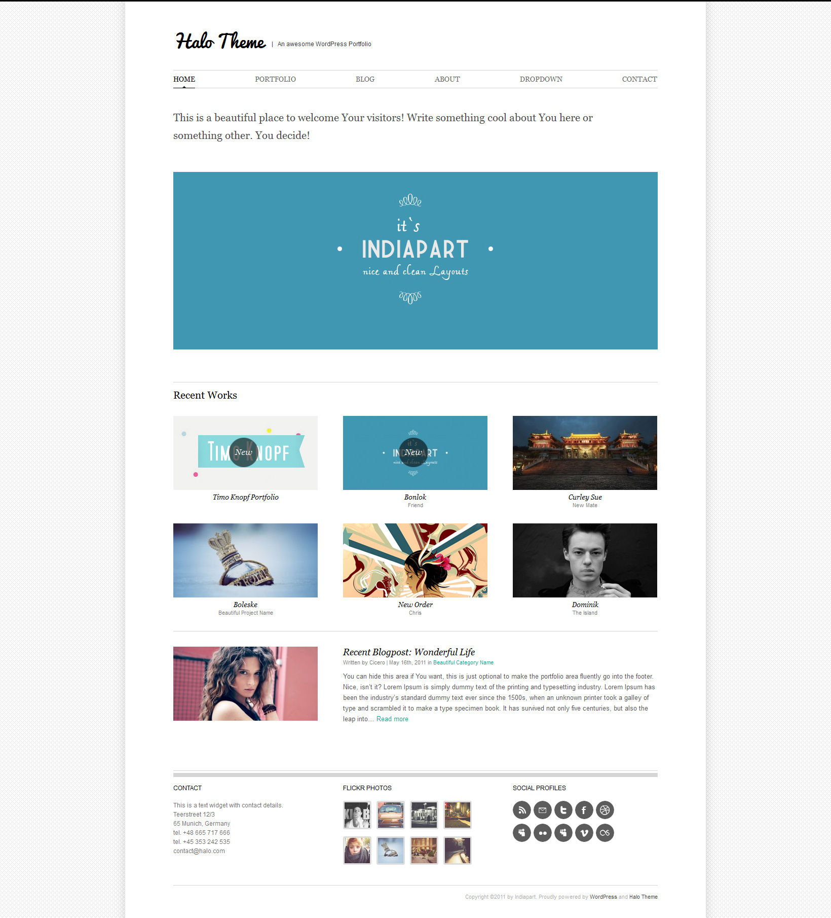 Halo Wordpress  Theme