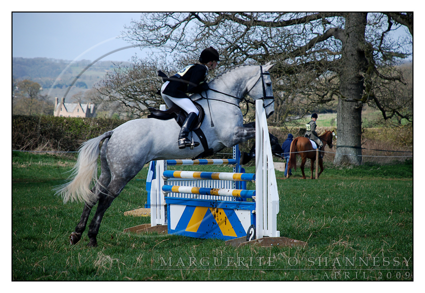 Belmont Horse Trials 5