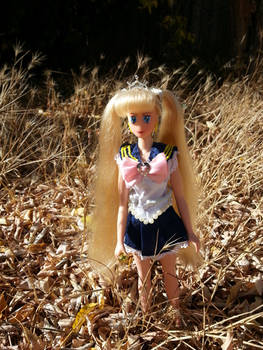 BCG: Princess Sailor Moon (Custom doll clothes)
