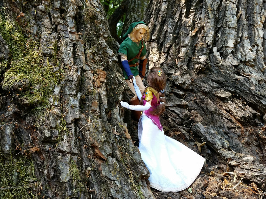 LoZ: Take my hand, Princess