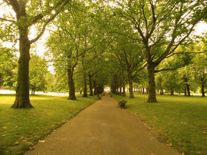 green_park_01