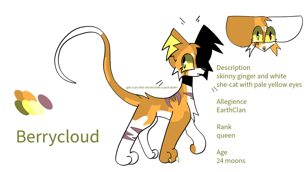 Berrycloud Ref Sheet
