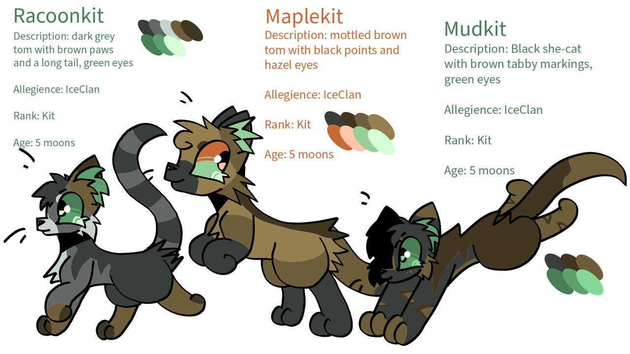 Racoonkit, Maplekit and Mudkit ref sheet