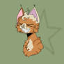Squirrelcharm headshot (arttrade)