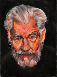 ian mckellan