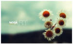 some flowers by maya-love-u