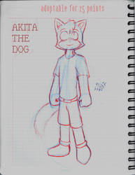 Akita the dog