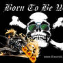 Biker-03-Wild-Born-to-be-Wild-R66-Skull