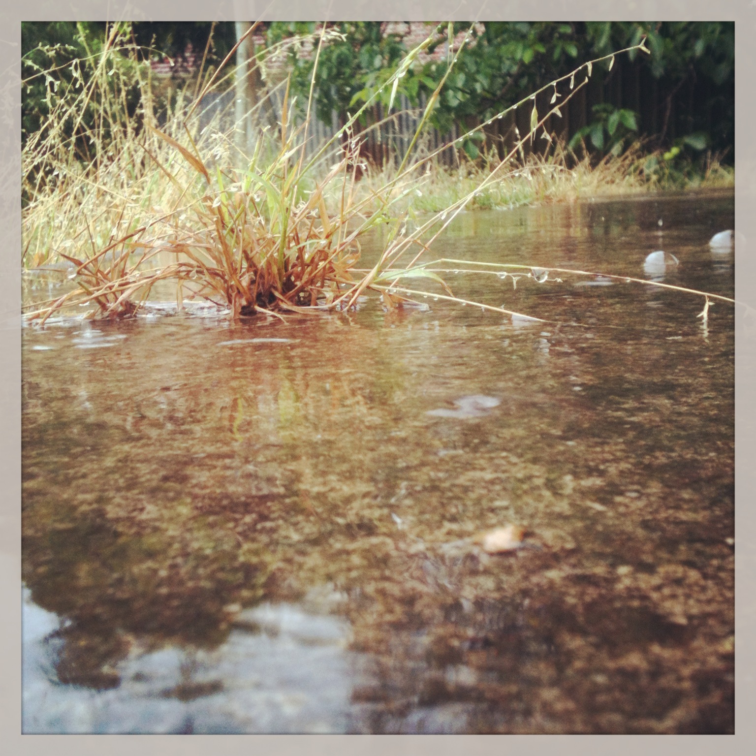 ~Puddle Bubbles~