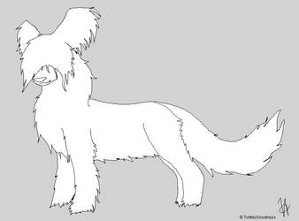 Briard Lineart