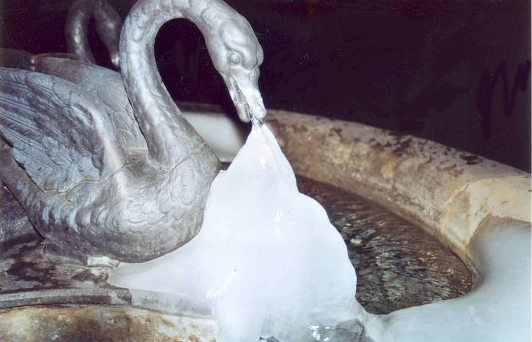 swan. by Adrenaleen on DeviantArt