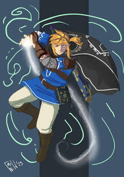 Botw 2 Link