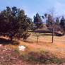 021 Hesse Park-Palos Verdes CA