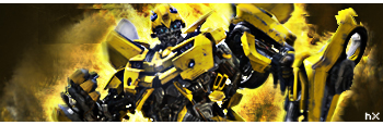 Bumblebee signature