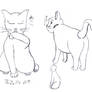 09-02-14 Some Cats