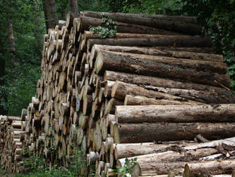 stack of wood 1