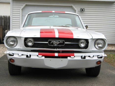 close up 1966 mustang stripes