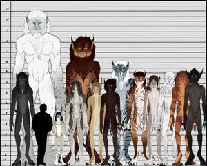 Kivuuli Size Comparison