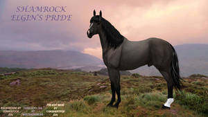 Shamrock Elgin's Pride edit 1 by KendraLongson
