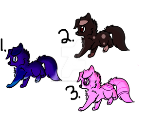 Puppy Adoptables