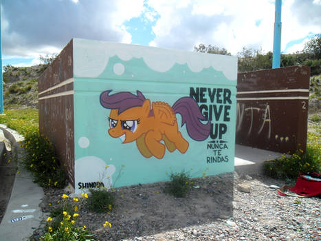 Never Give Up Scootaloo Graffiti