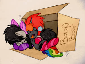 Boop Box by ShinodaGE Boop Box by ShinodaGE