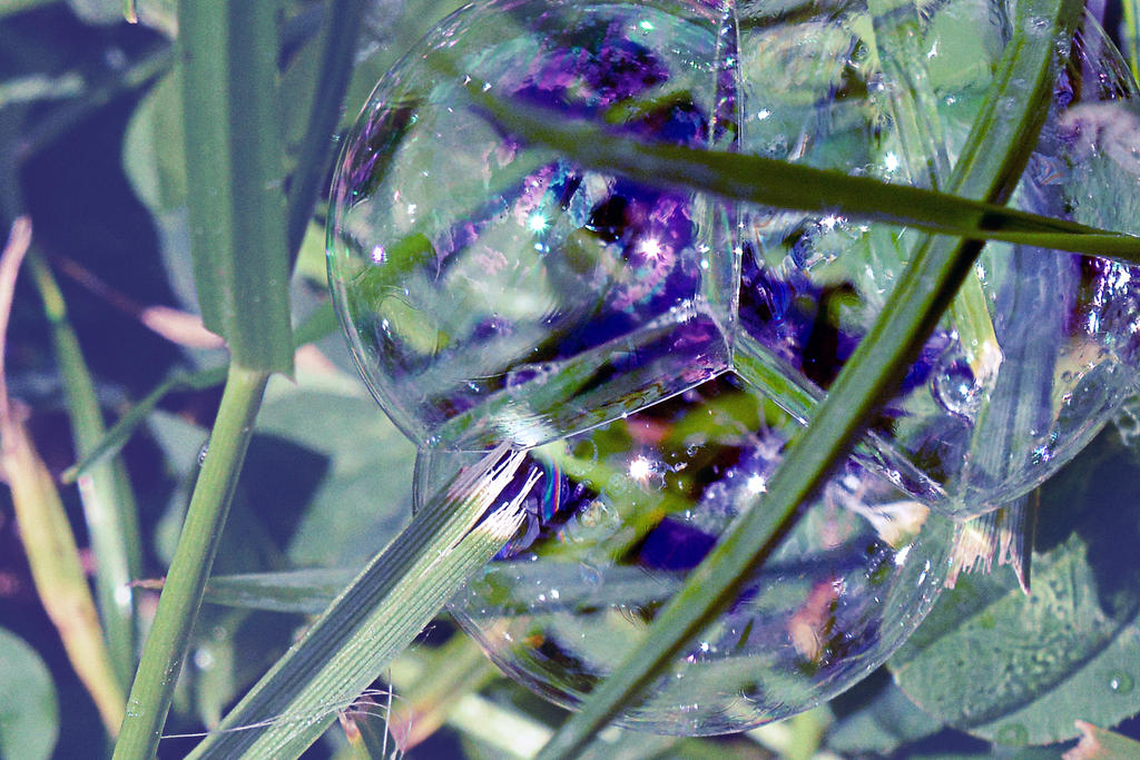 The world in a soap bubble.