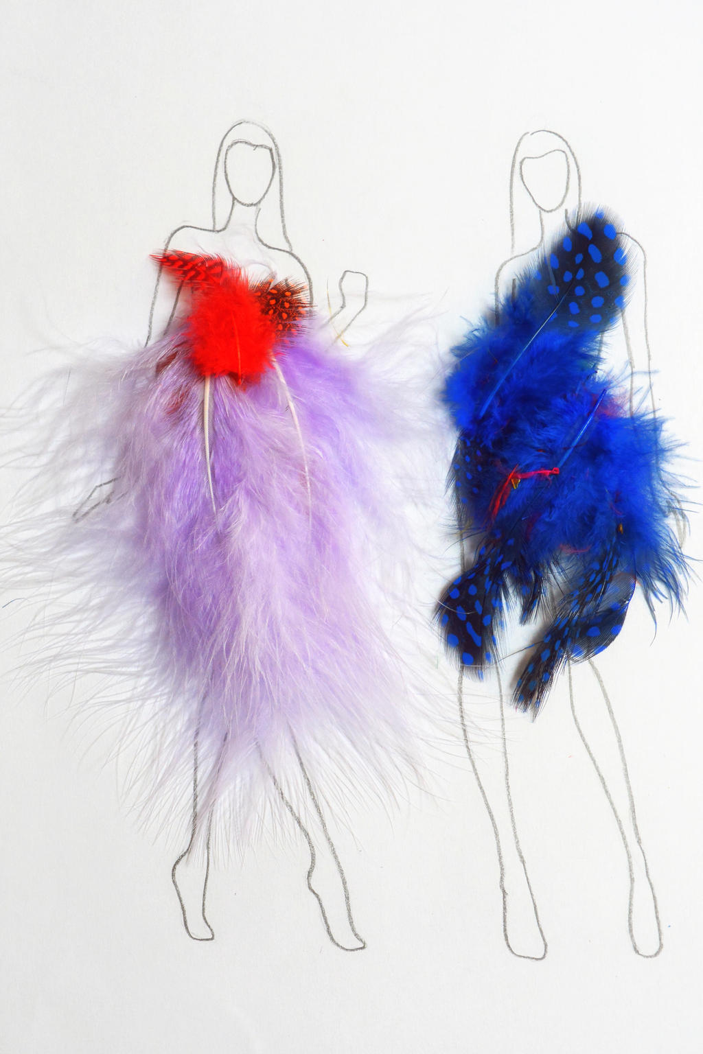 Fashion feathers, 2017, 19-28cm, feathers on paper