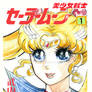 Retro Cover: Pretty Guardian Sailor Moon