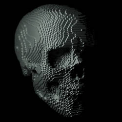 Voxel Skull