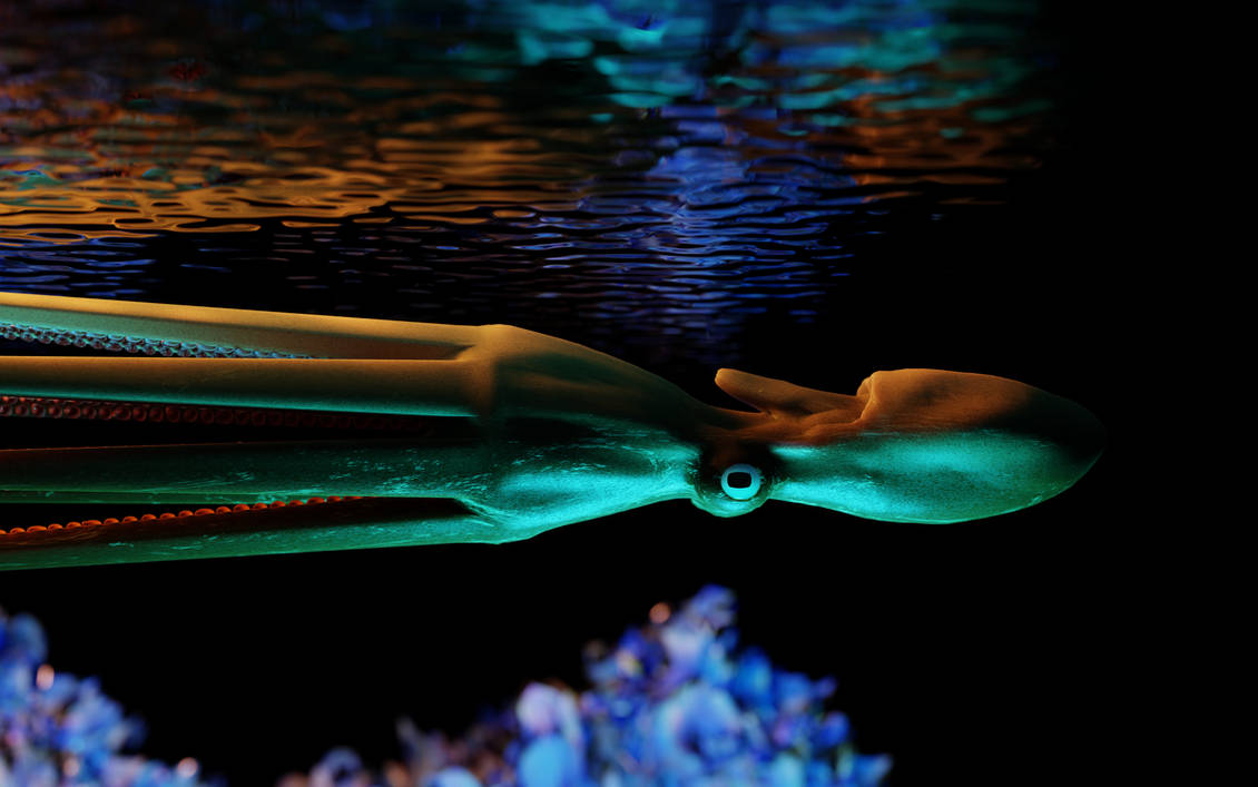 Octopus by BaronThee on DeviantArt