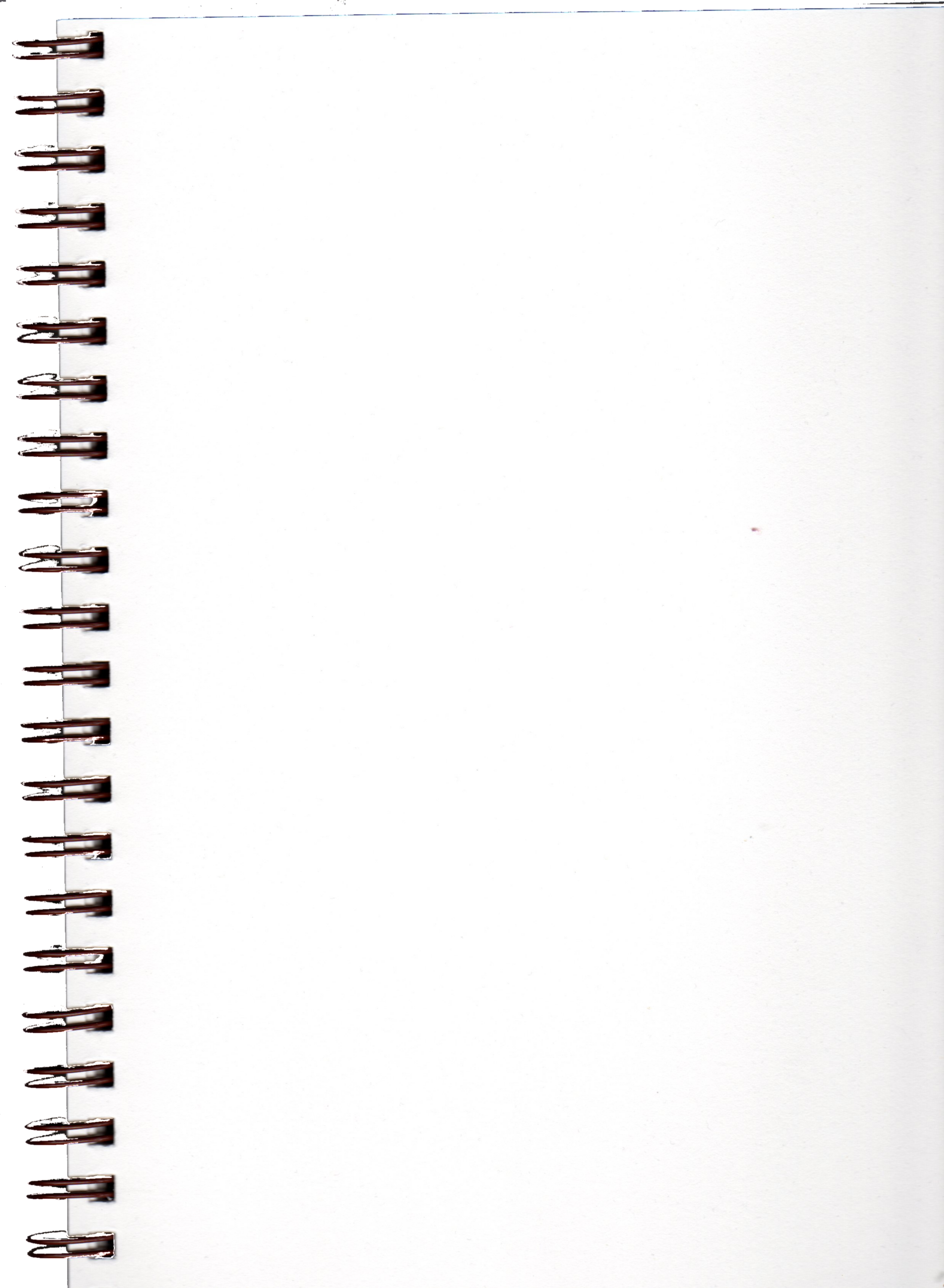 Blank parchment page o1 Spiral Notebook