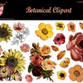 Bnspyrd-Clipart-BotanicalGeometric