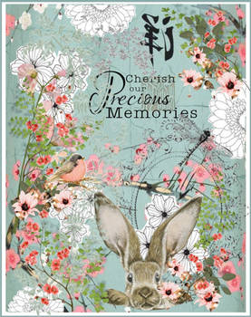 Bnspyrd ART Precious-Memories