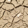 Bnspyrd STOCK-TEXTURE CrackedEarth