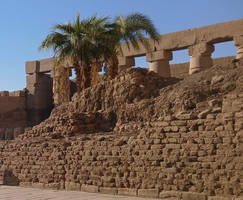 Bnspyrd STOCK Egypt (5)