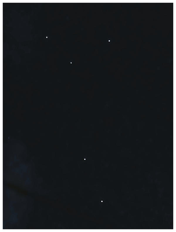 Bnspyrd PHOTO Southern Cross