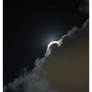 Bnspyrd PHOTO Luna's-Veiling