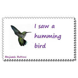 Humming buttons bird