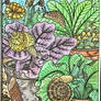 Garden Magic Painting - Snails - Complete