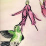 Chinese Watercolor Hummingbird