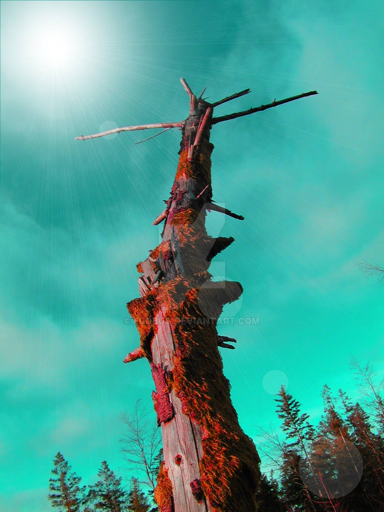 Alien Tree by Eugbug on DeviantArt