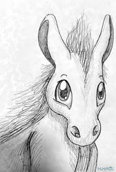 Donkey Sketch