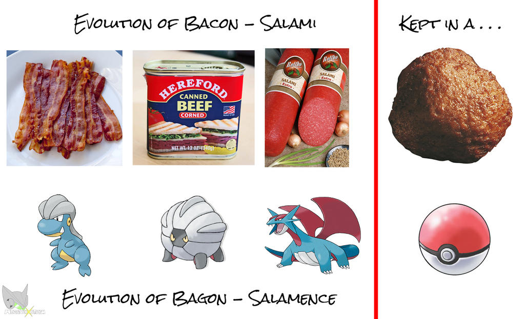 Evolution Chain of Meat