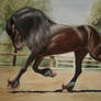 Friesian horse new version