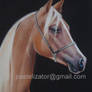 Horse Arabian Portrait Pastel