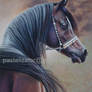 Horse Arabian Portrait Brown Pastel