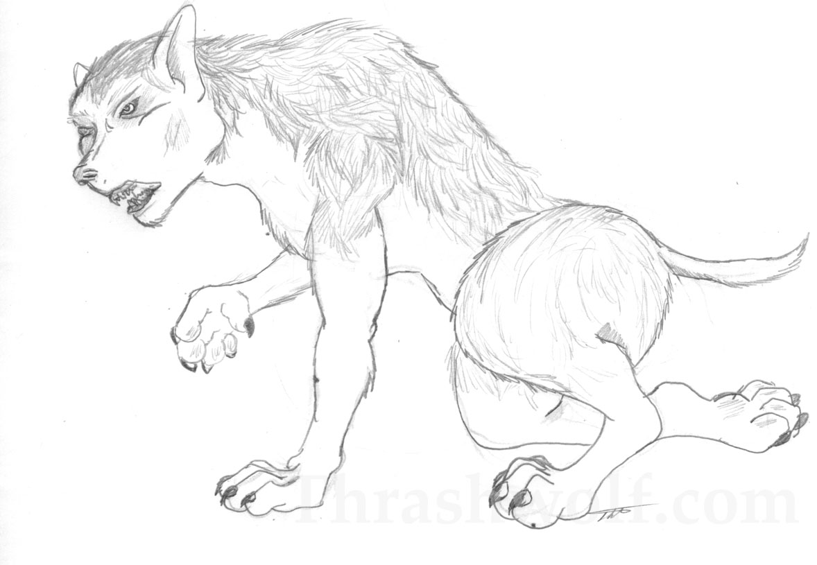 Werewolf Change by Thrashwolf on DeviantArt