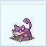 rattata